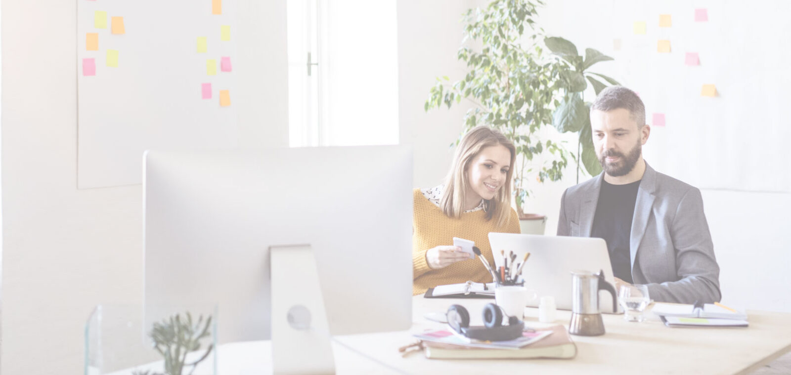 startup Employees using a computer in an office