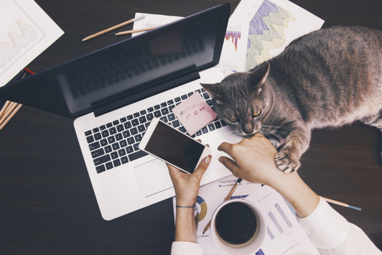 On-Track Remote Teams: Making Productivity a Priority
